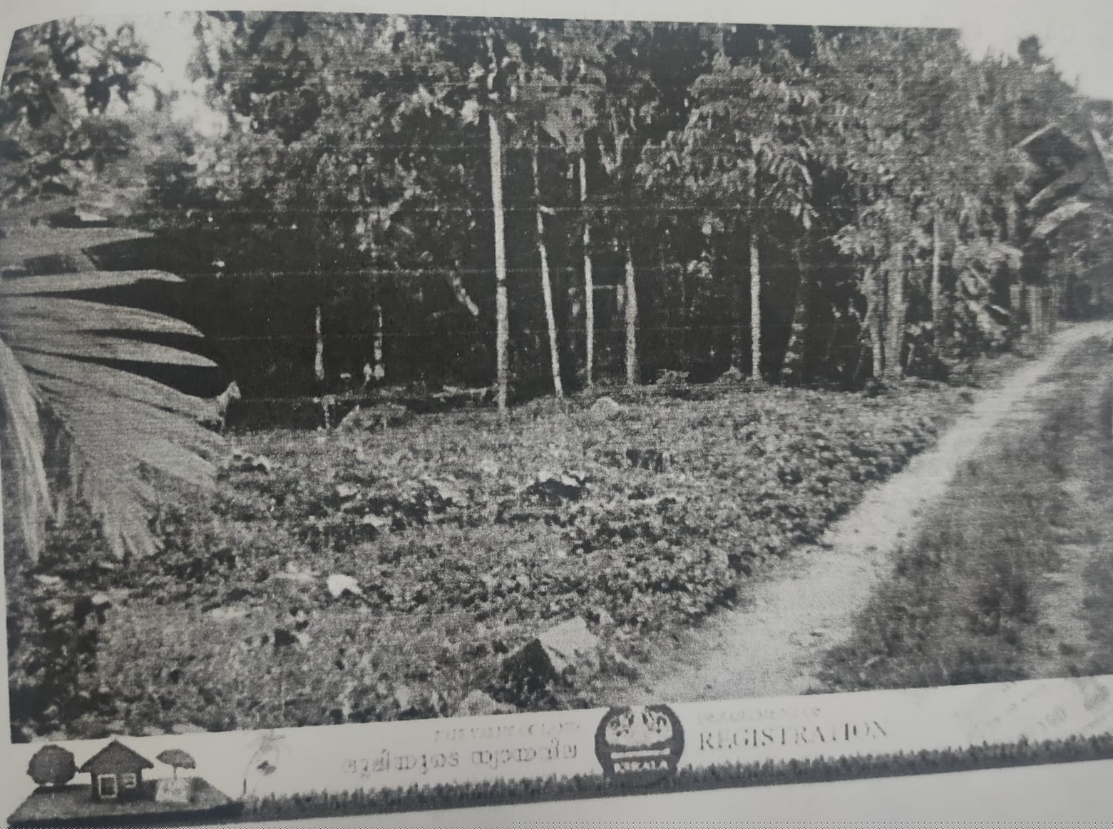 Indian Overseas Bank Auctions for Residential property in Ernakulam, Kerala