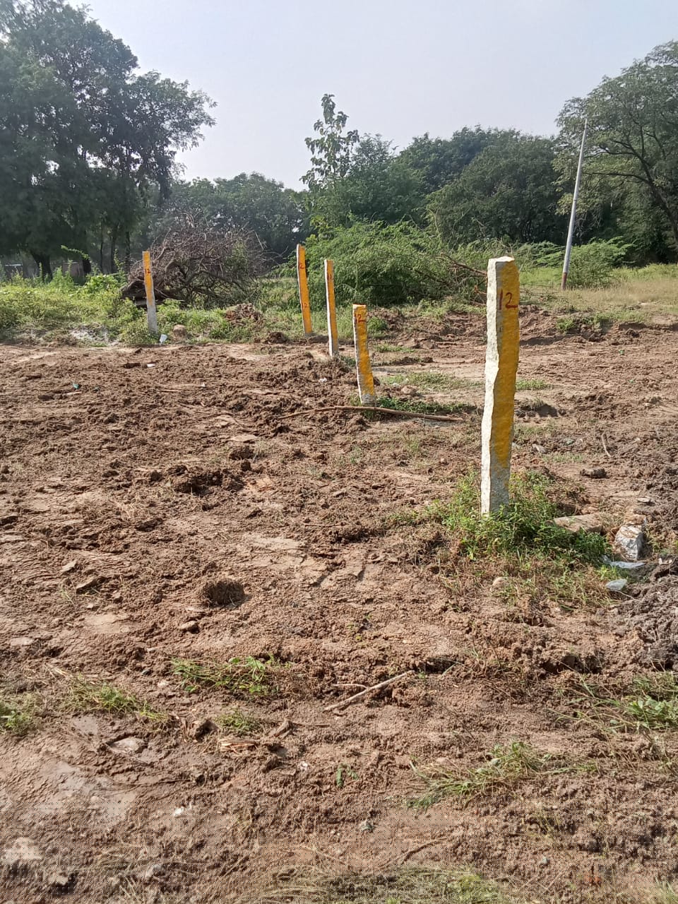 Bank of Baroda Auctions for Residential property in Thirupathi, Andhra Pradesh image 3 of 5 in Tirupati, Thirupathi | Bank of Baroda auction property