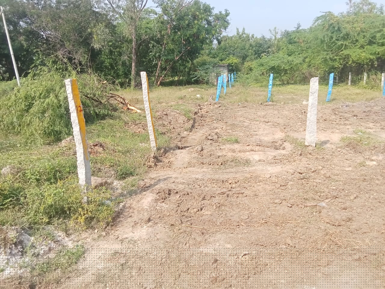 Bank of Baroda Auctions for Residential property in Thirupathi, Andhra Pradesh image 4 of 5 in Tirupati, Thirupathi | Bank of Baroda auction property
