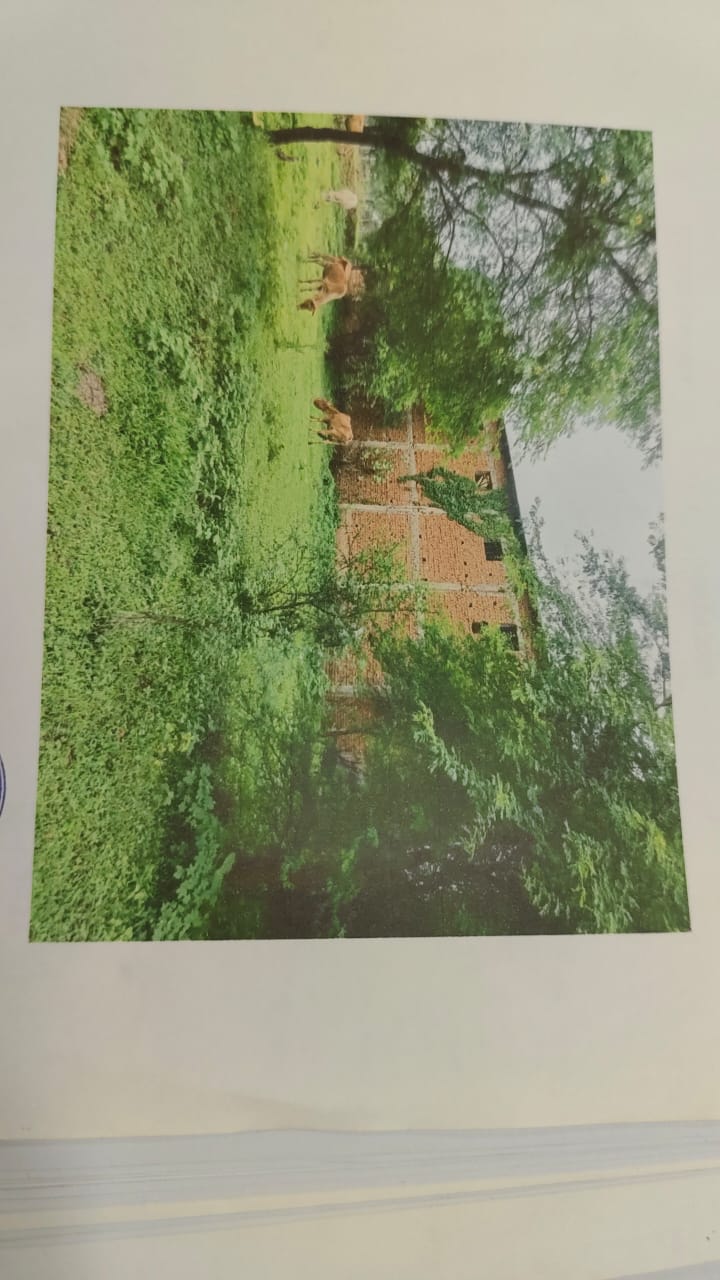 Punjab National Bank Auctions for Residential property in Champa, Chhattisgarh