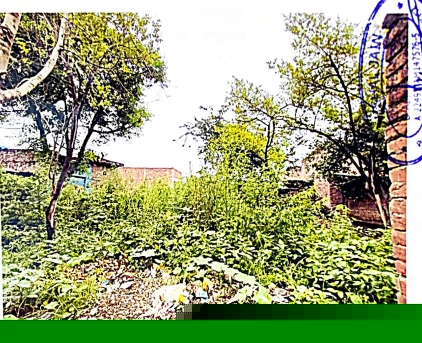 Indian Bank Auctions for Residential property in Kasganj, Uttar Pradesh