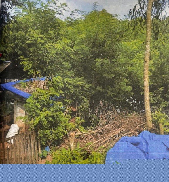 Punjab National Bank Auctions for Residential property in Idukki, Kerala