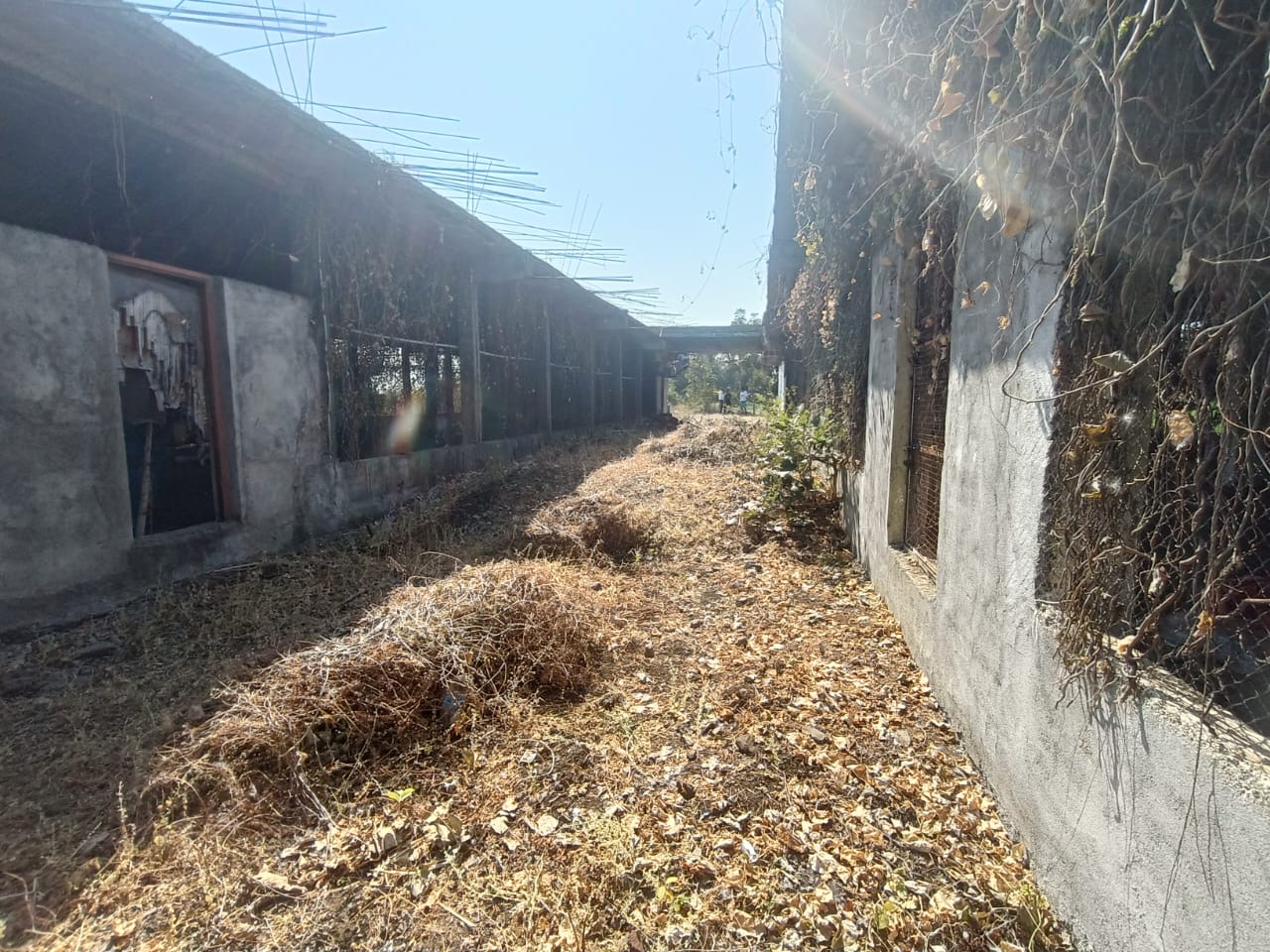 Indian Bank Auctions for Residential property in Amravati, Maharashtra image 6 of 7 in Amravati, Amravati | Indian Bank auction property