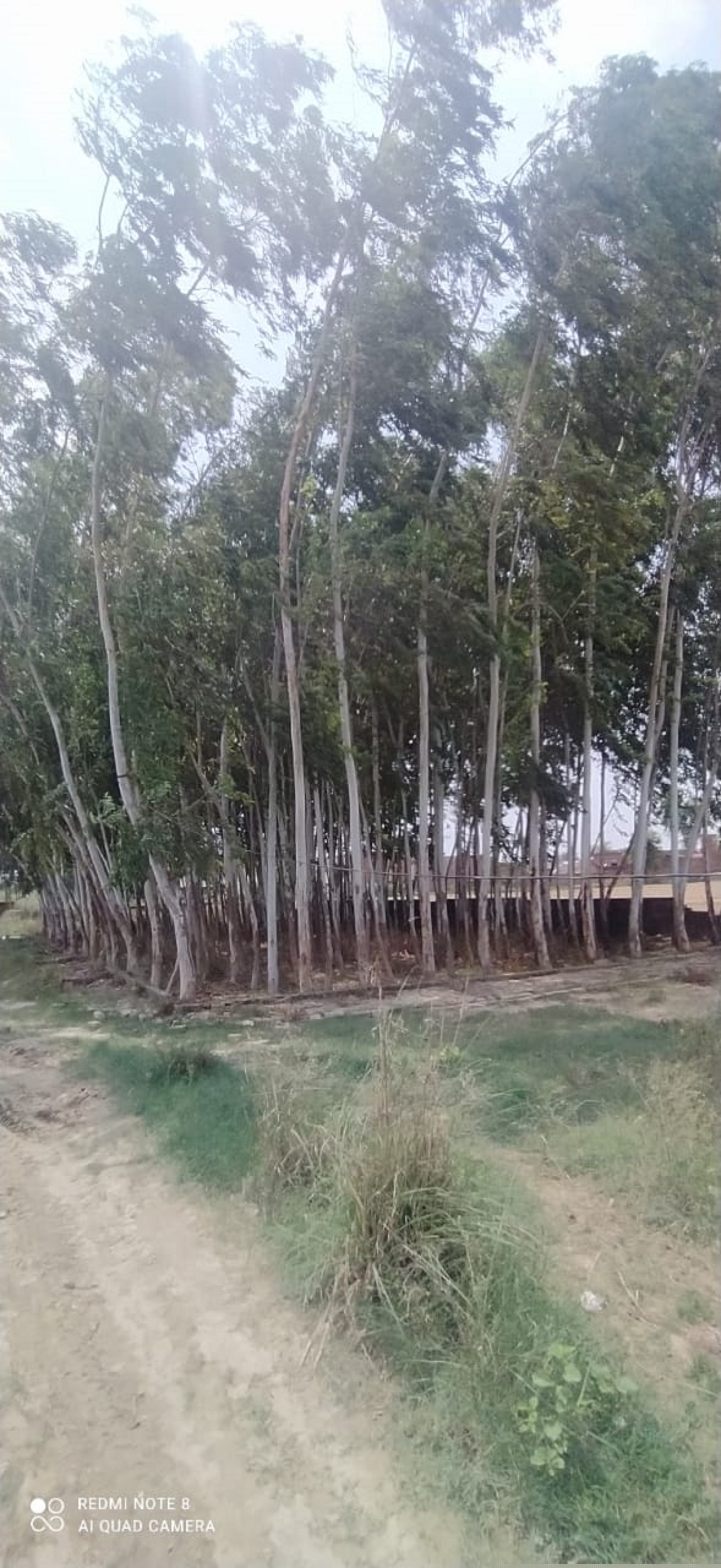 Punjab National Bank Auctions for Residential property in Shahjahanpur, Uttar Pradesh