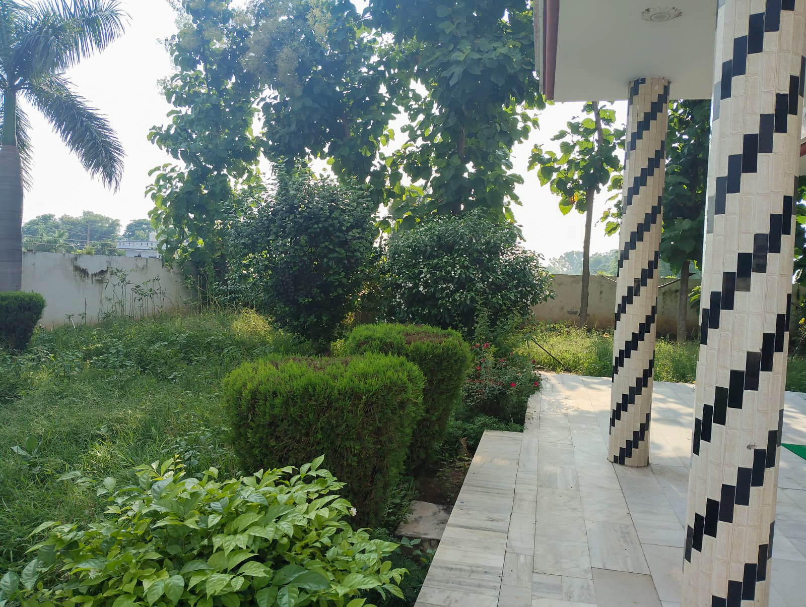 Canara Bank Auctions for Residential property in Jalandhar, Punjab