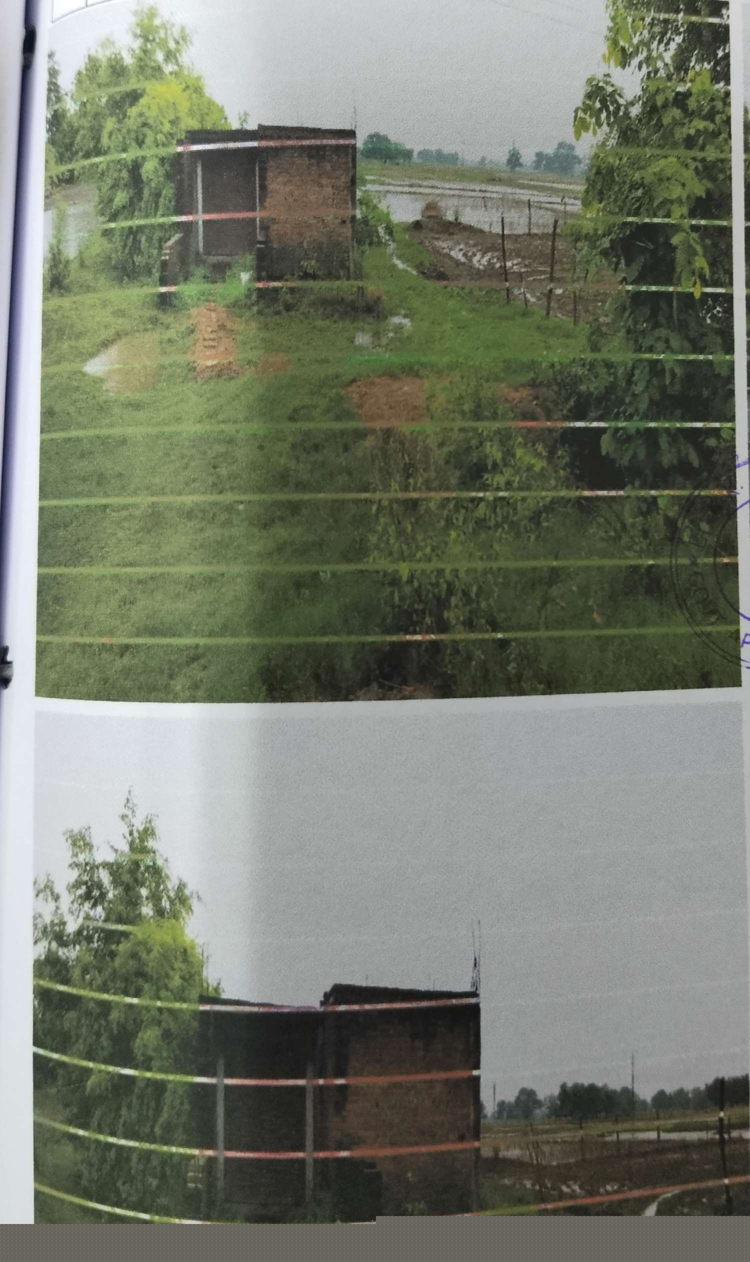 Punjab National Bank Auctions for Residential property in Basti, Uttar Pradesh