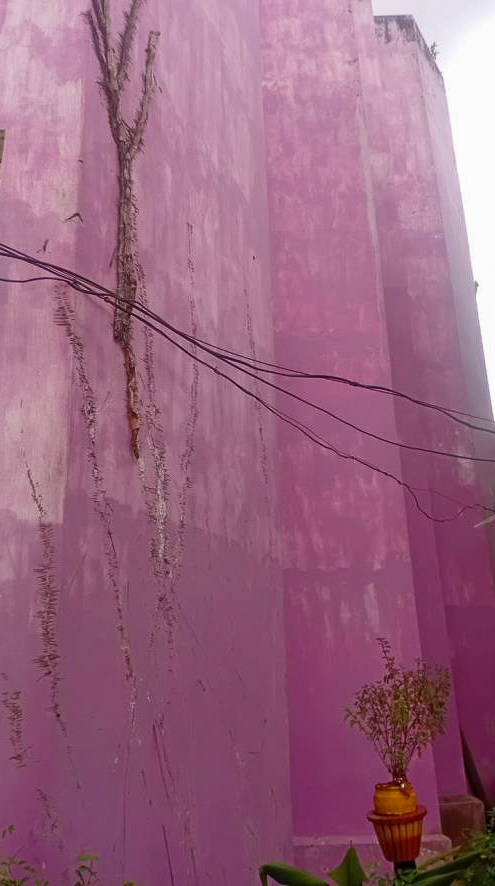 State Bank of India Auctions for Residential property in Cuttack, Odisha