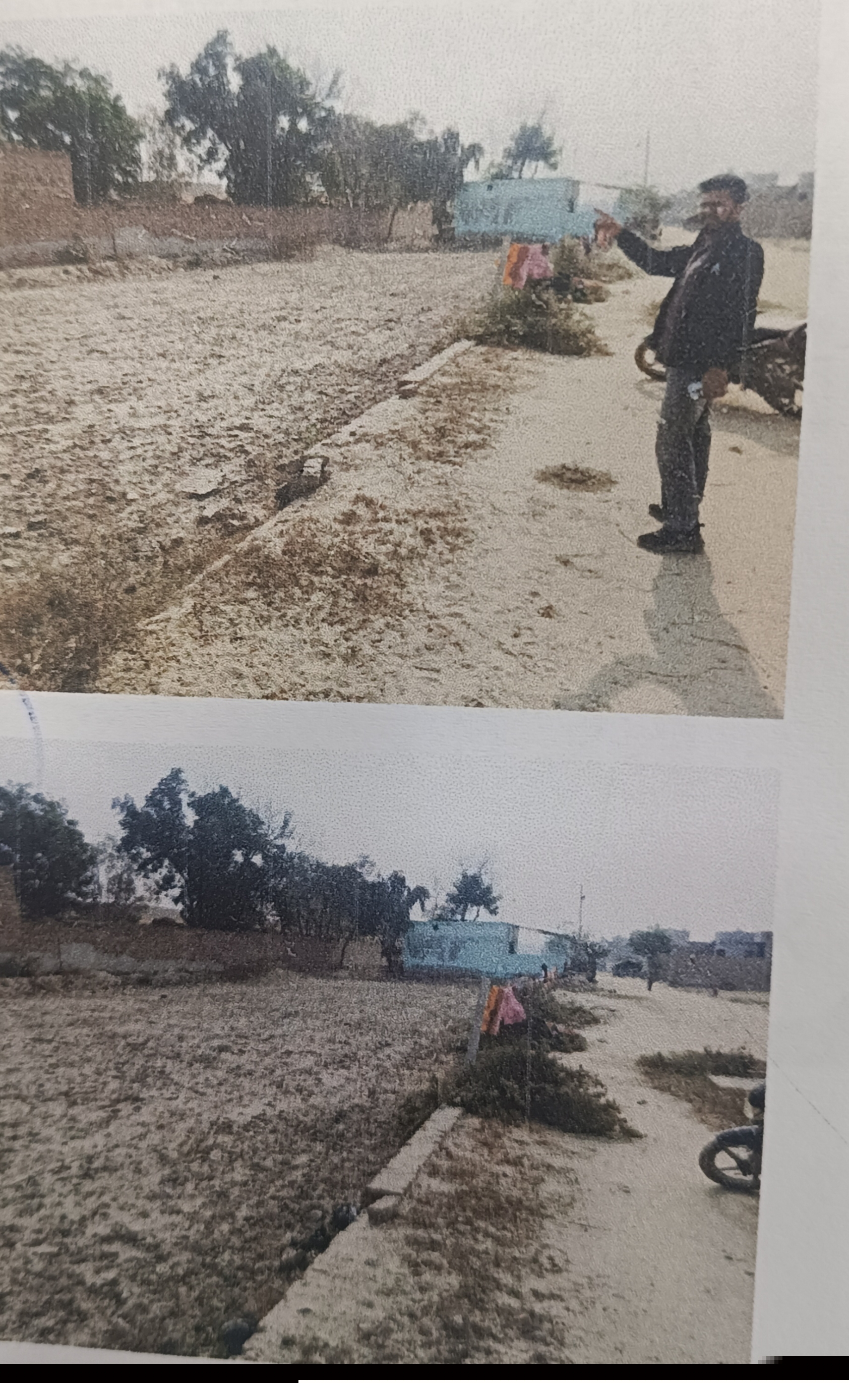 Punjab National Bank Auctions for Residential property in Fazilka, Punjab