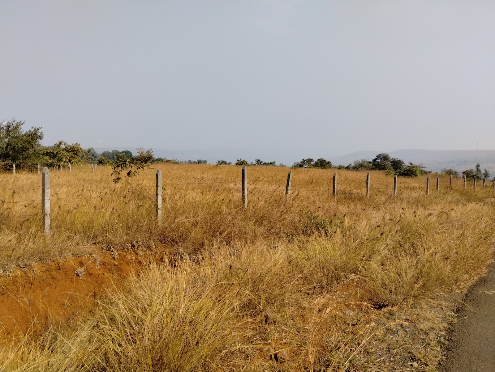 Punjab National Bank Auctions for Residential property in Satara, Maharashtra