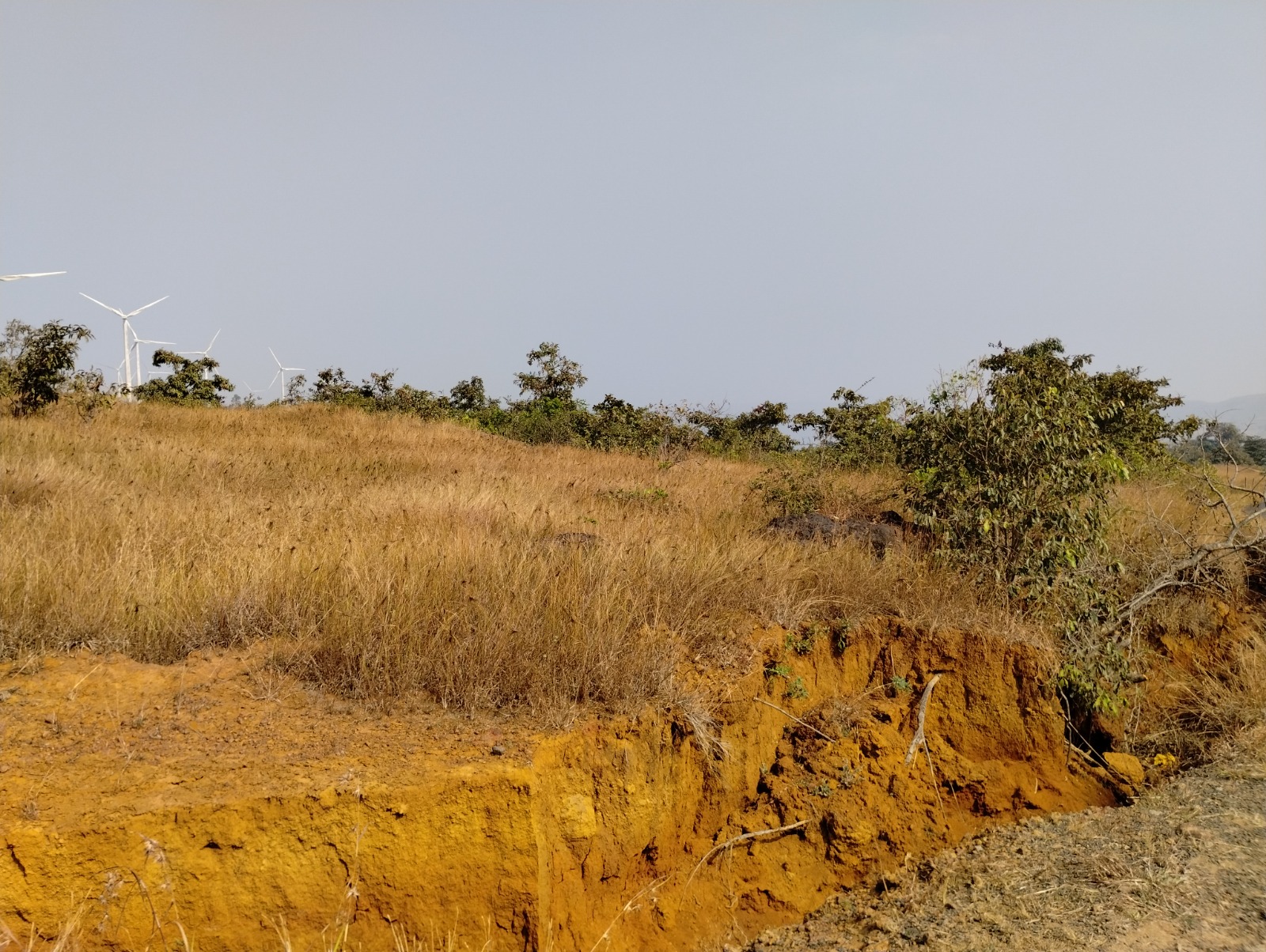 Punjab National Bank Auctions for Residential property in Satara, Maharashtra