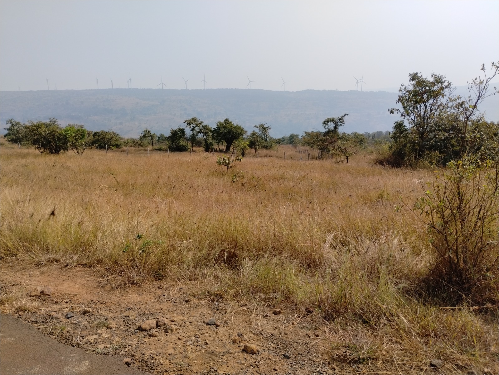 Punjab National Bank Auctions for Residential property in Satara, Maharashtra