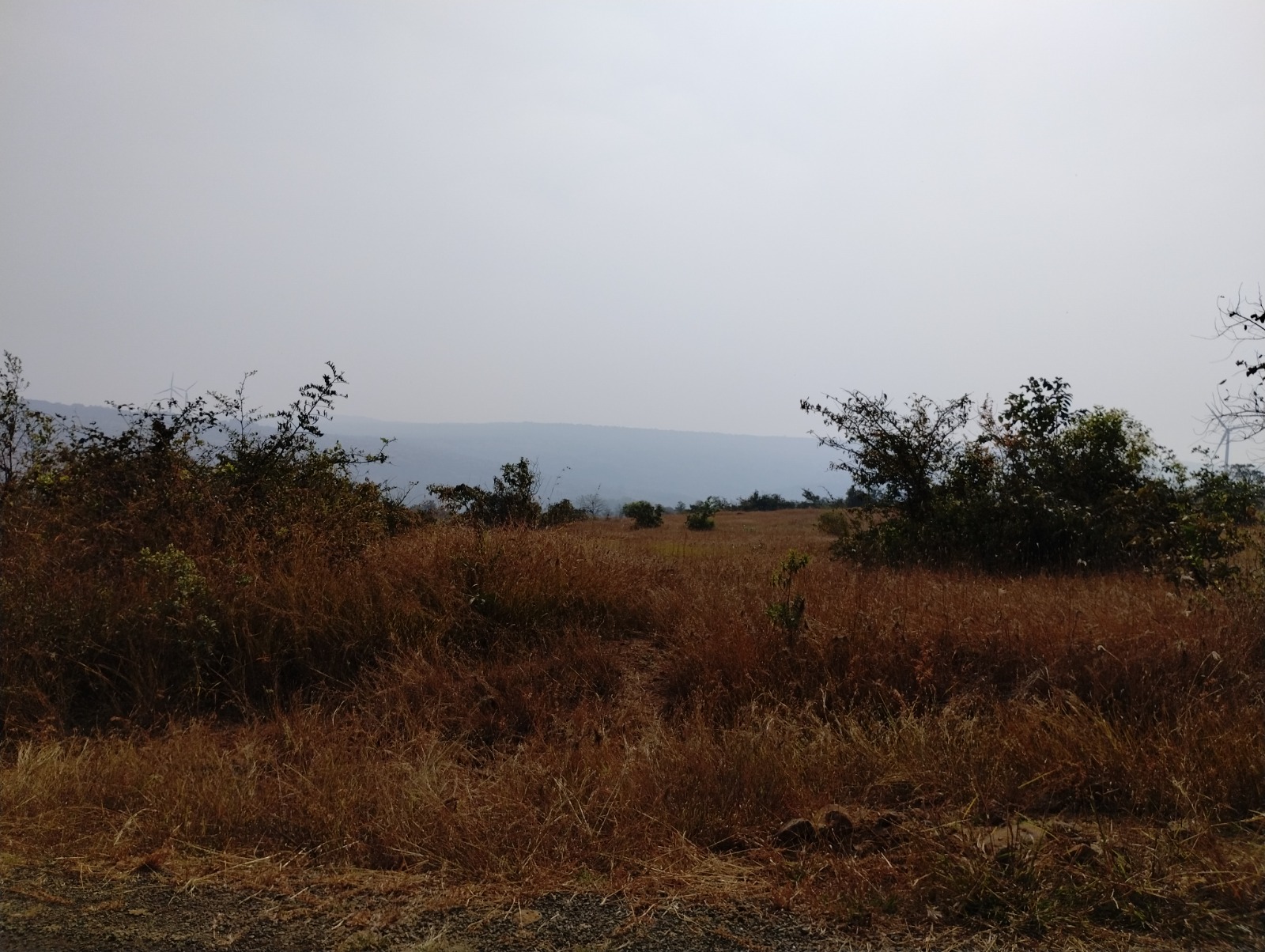 Punjab National Bank Auctions for Residential property in Satara, Maharashtra