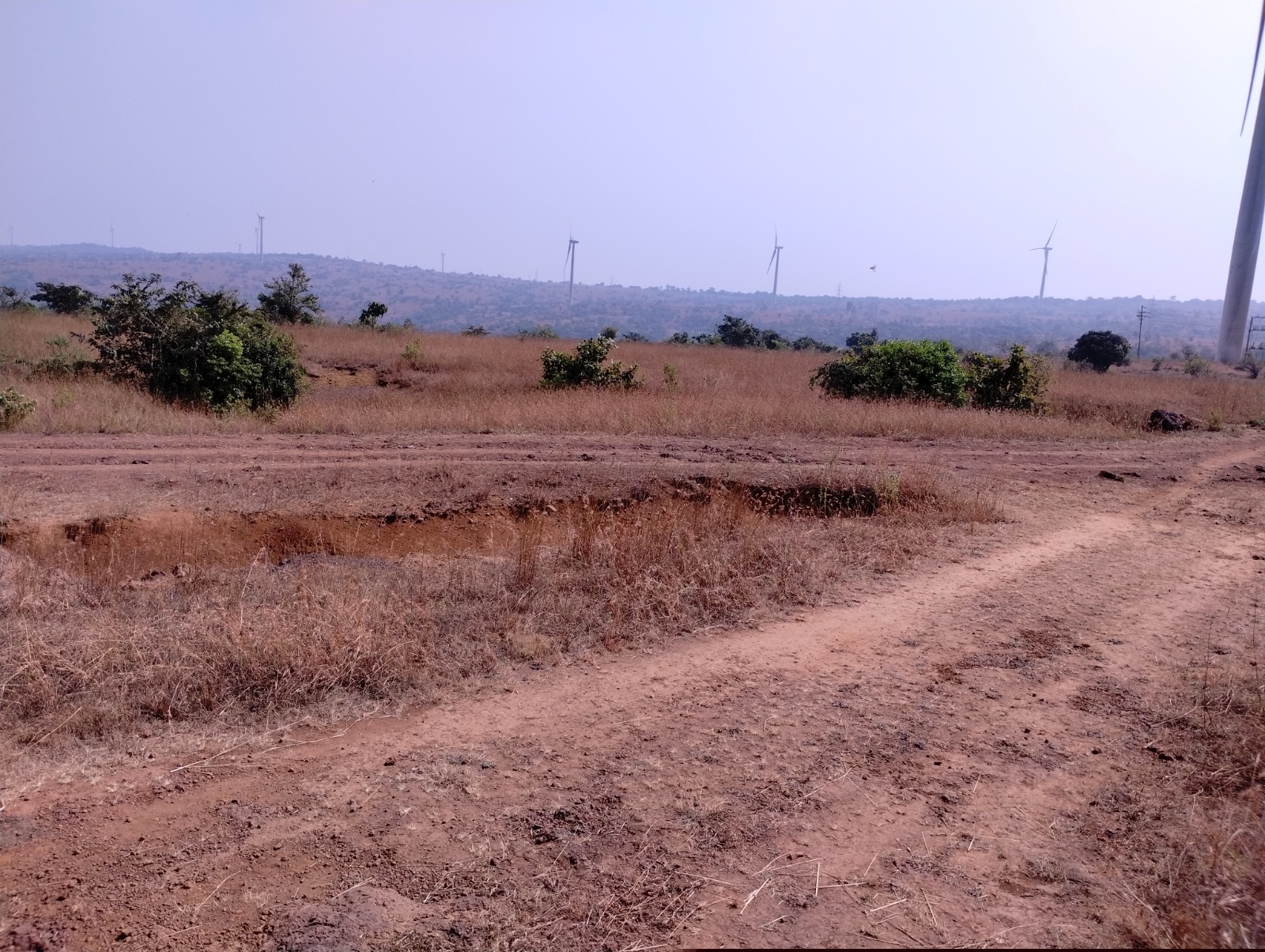 Punjab National Bank Auctions for Residential property in Satara, Maharashtra
