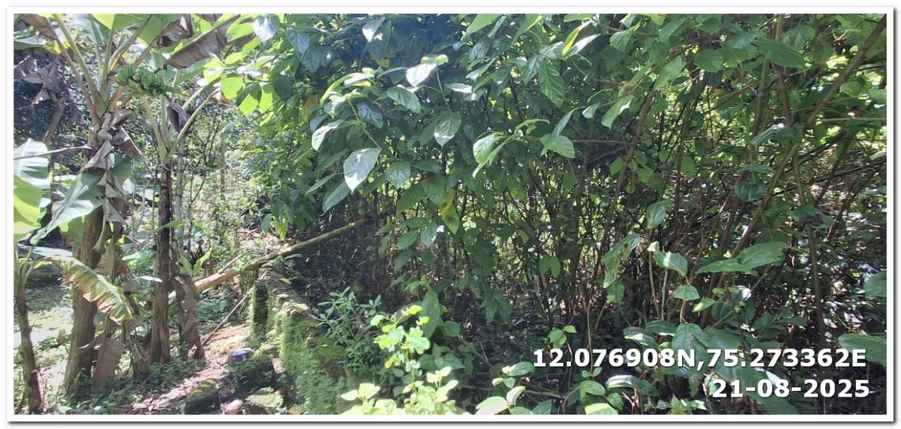Canara Bank Auctions for Residential property in Kannur, Kerala