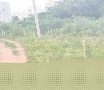 State Bank of India Auctions for Residential property in ANNAMAYYA, Andhra Pradesh