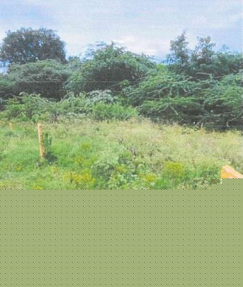 State Bank of India Auctions for Residential property in ANNAMAYYA, Andhra Pradesh image 2 of 3 in Madanapalle, ANNAMAYYA | State Bank of India auction property