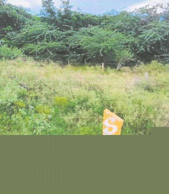 State Bank of India Auctions for Residential property in ANNAMAYYA, Andhra Pradesh image 3 of 3 in Madanapalle, ANNAMAYYA | State Bank of India auction property