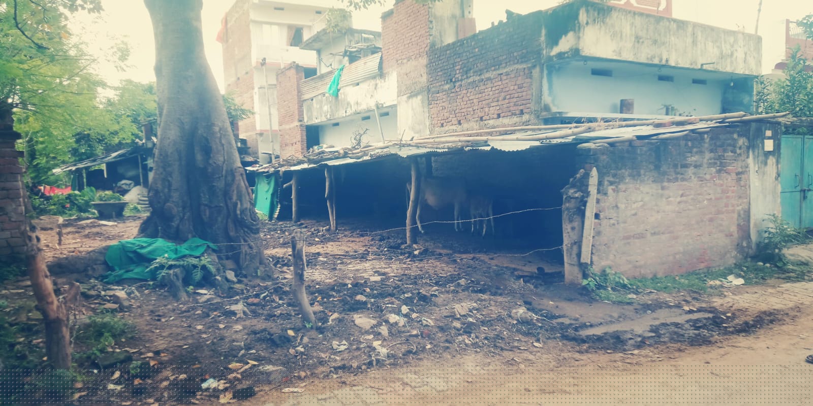 Punjab National Bank Auctions for Residential property in Gaya, Bihar