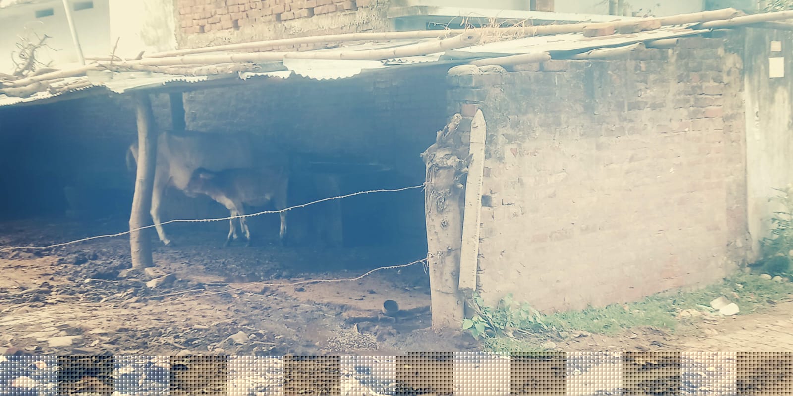 Punjab National Bank Auctions for Residential property in Gaya, Bihar image 4 of 4 in Gaya, Gaya | Punjab National Bank auction property