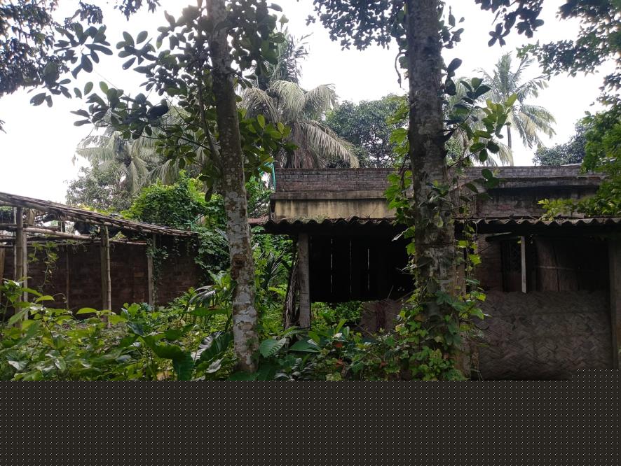 Canara Bank Auctions for Residential property in Nadia, West Bengal