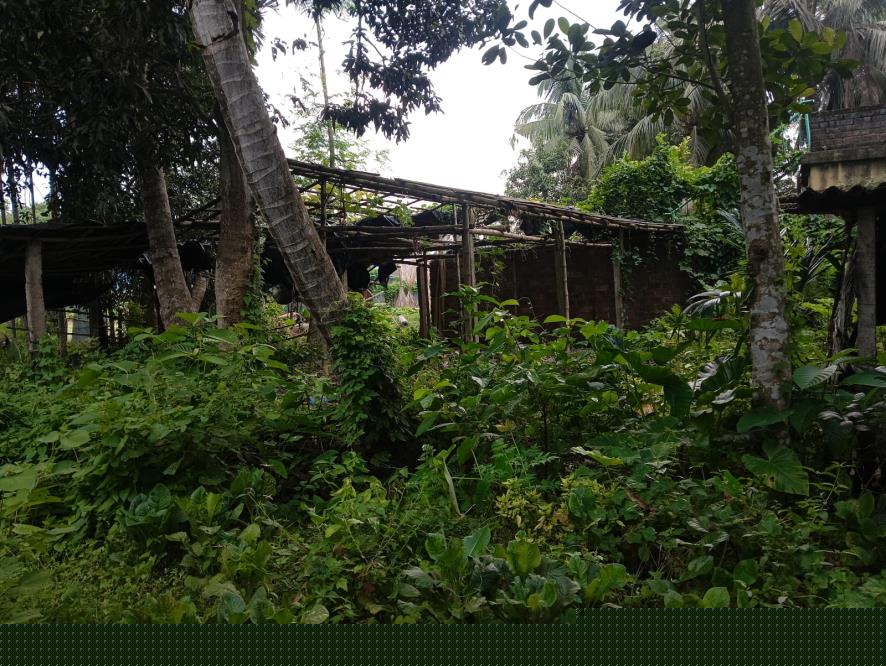 Canara Bank Auctions for Residential property in Nadia, West Bengal image 12 of 15 in Badkulla, Nadia | Canara Bank auction property