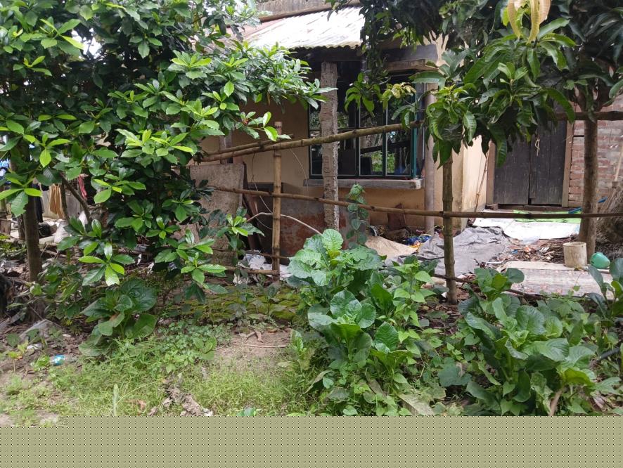 Canara Bank Auctions for Residential property in Nadia, West Bengal image 13 of 15 in Badkulla, Nadia | Canara Bank auction property