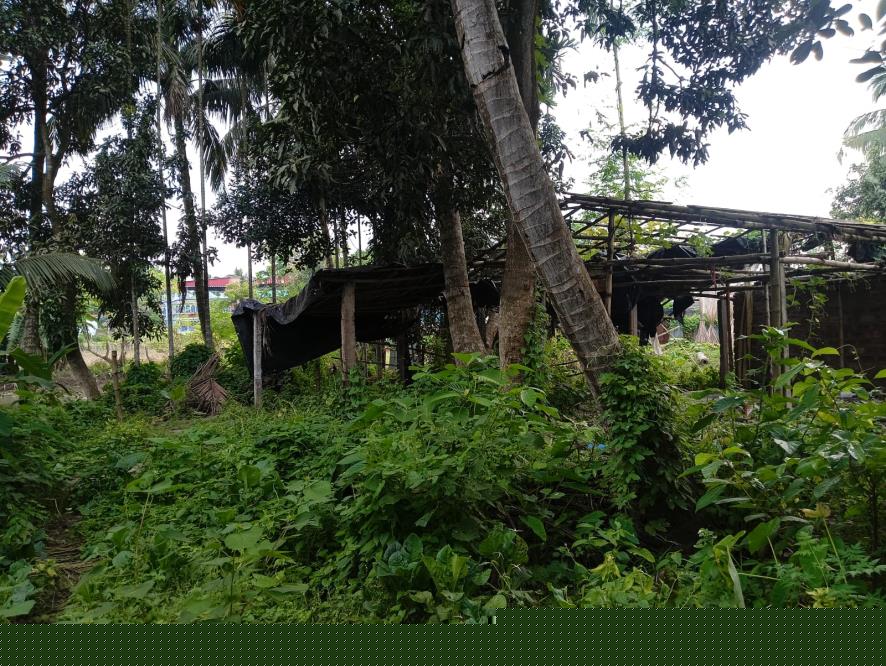 Canara Bank Auctions for Residential property in Nadia, West Bengal image 2 of 15 in Badkulla, Nadia | Canara Bank auction property