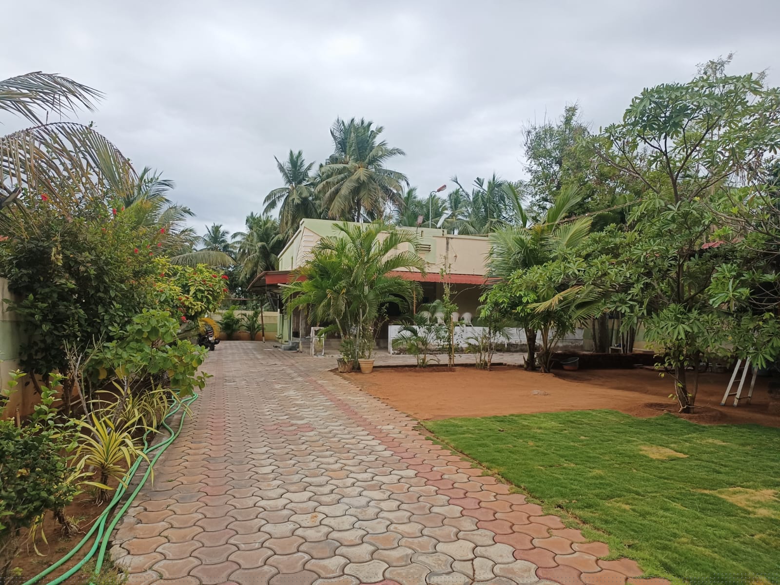 Indian Overseas Bank Auctions for Residential property in Krishnagiri, Tamil Nadu