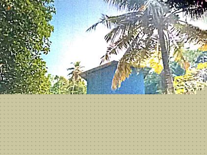 Canara Bank Auctions for Residential property in Alappuzha, Kerala