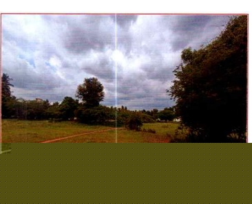 Canara Bank Auctions for Residential property in Tiruppur, Tamil Nadu