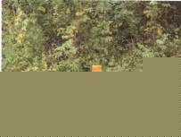 Bank of Baroda Auctions for Residential property in Dakshina Kannada, Karnataka