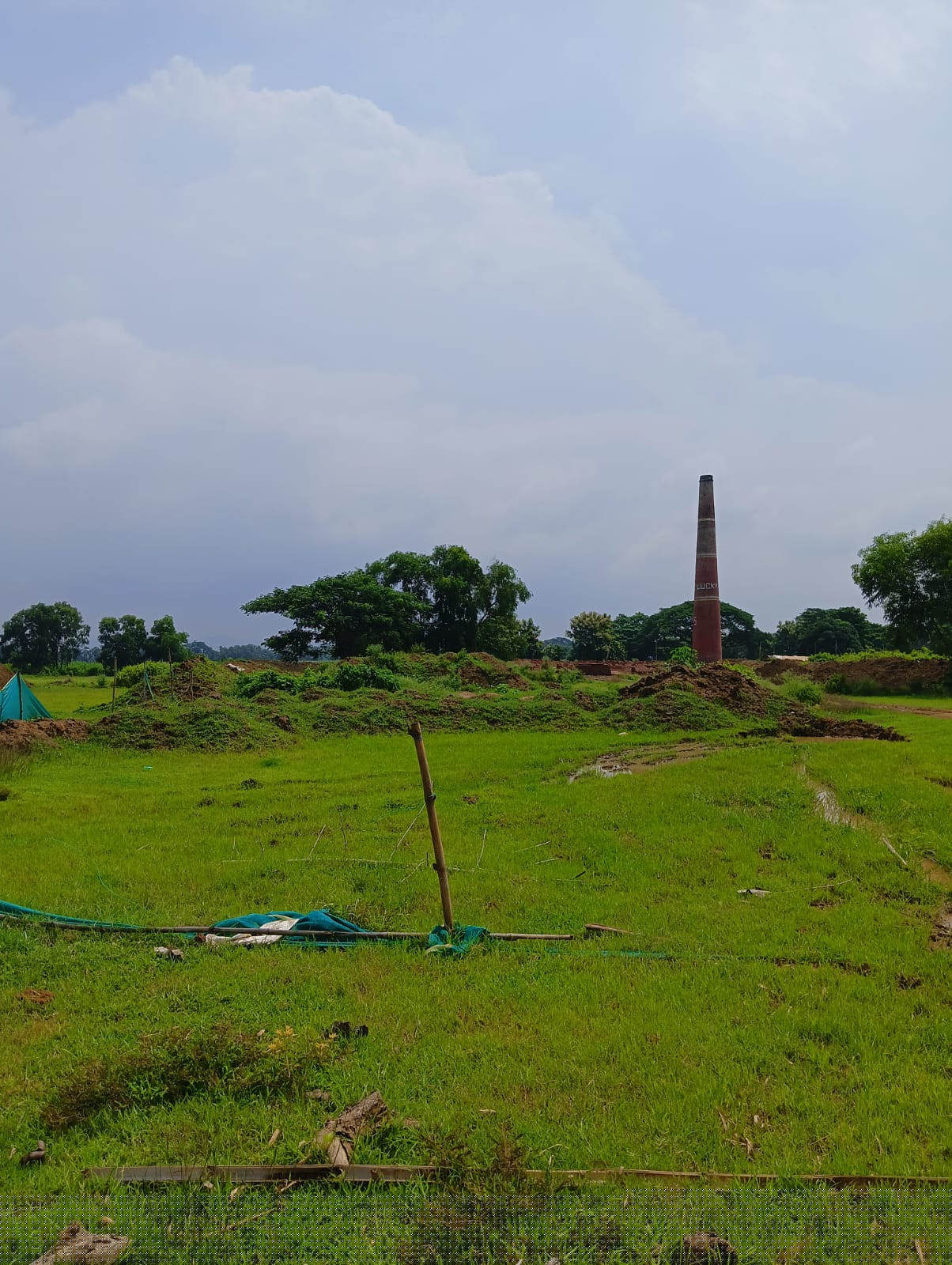 Punjab National Bank Auctions for Residential property in Kendrapara, Odisha