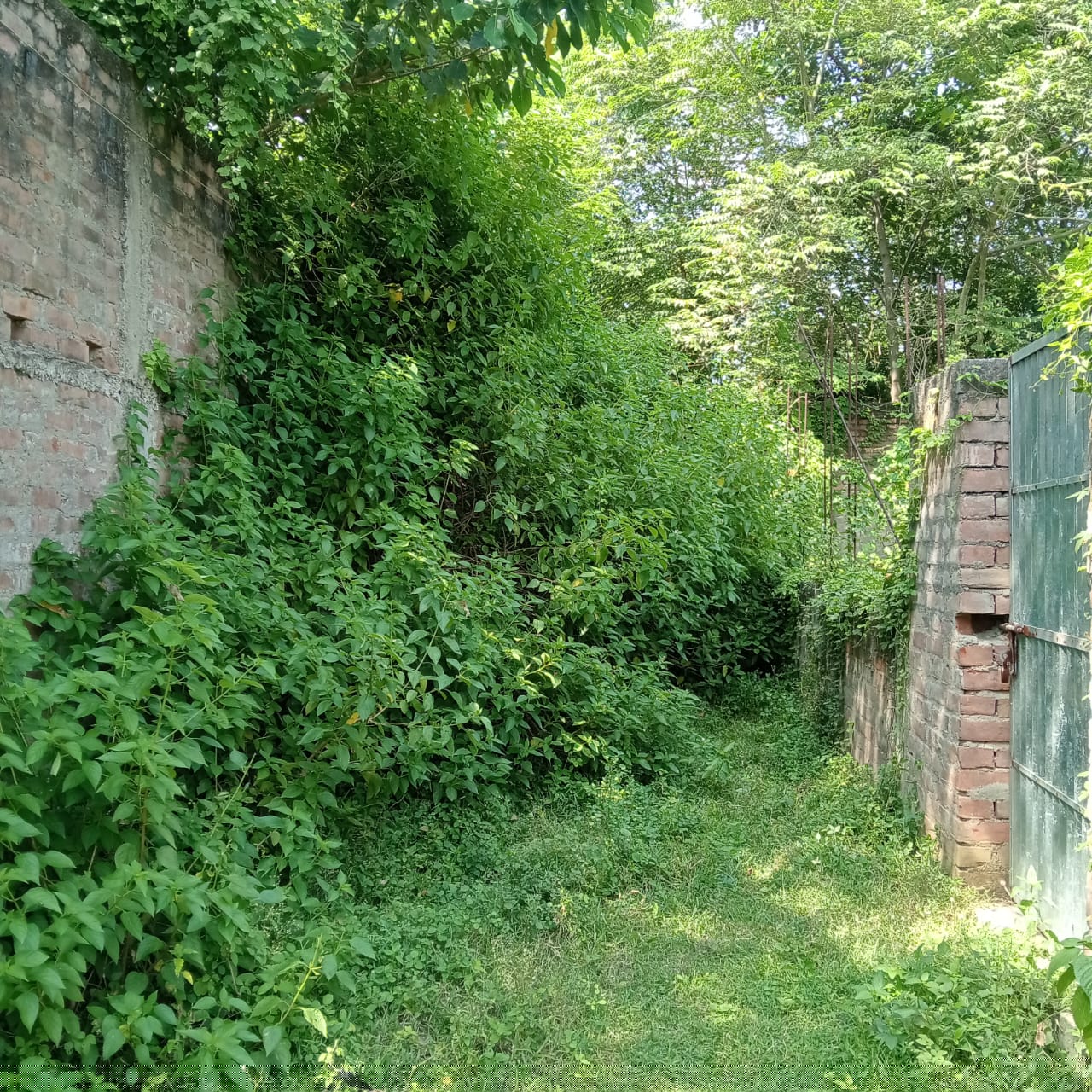UCO Bank Auctions for Residential property in Munger, Bihar image 2 of 2 in Munger, Munger | UCO Bank auction property