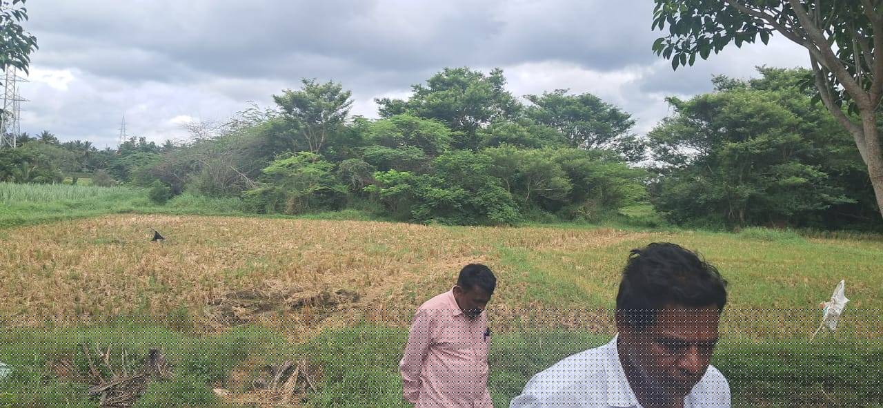 State Bank of India Auctions for Residential property in Mysuru, Karnataka image 3 of 4 in Kadakola, Mysuru | State Bank of India auction property