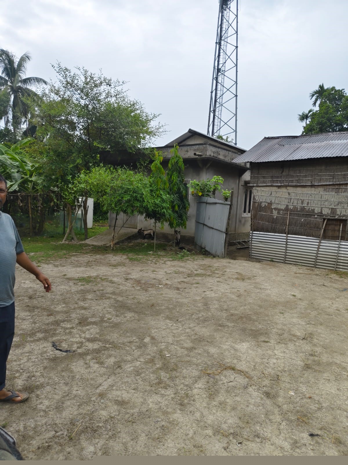 Punjab National Bank Auctions for Residential property in Nagaon, Assam image 7 of 7 in Dhing, Nagaon | Punjab National Bank auction property