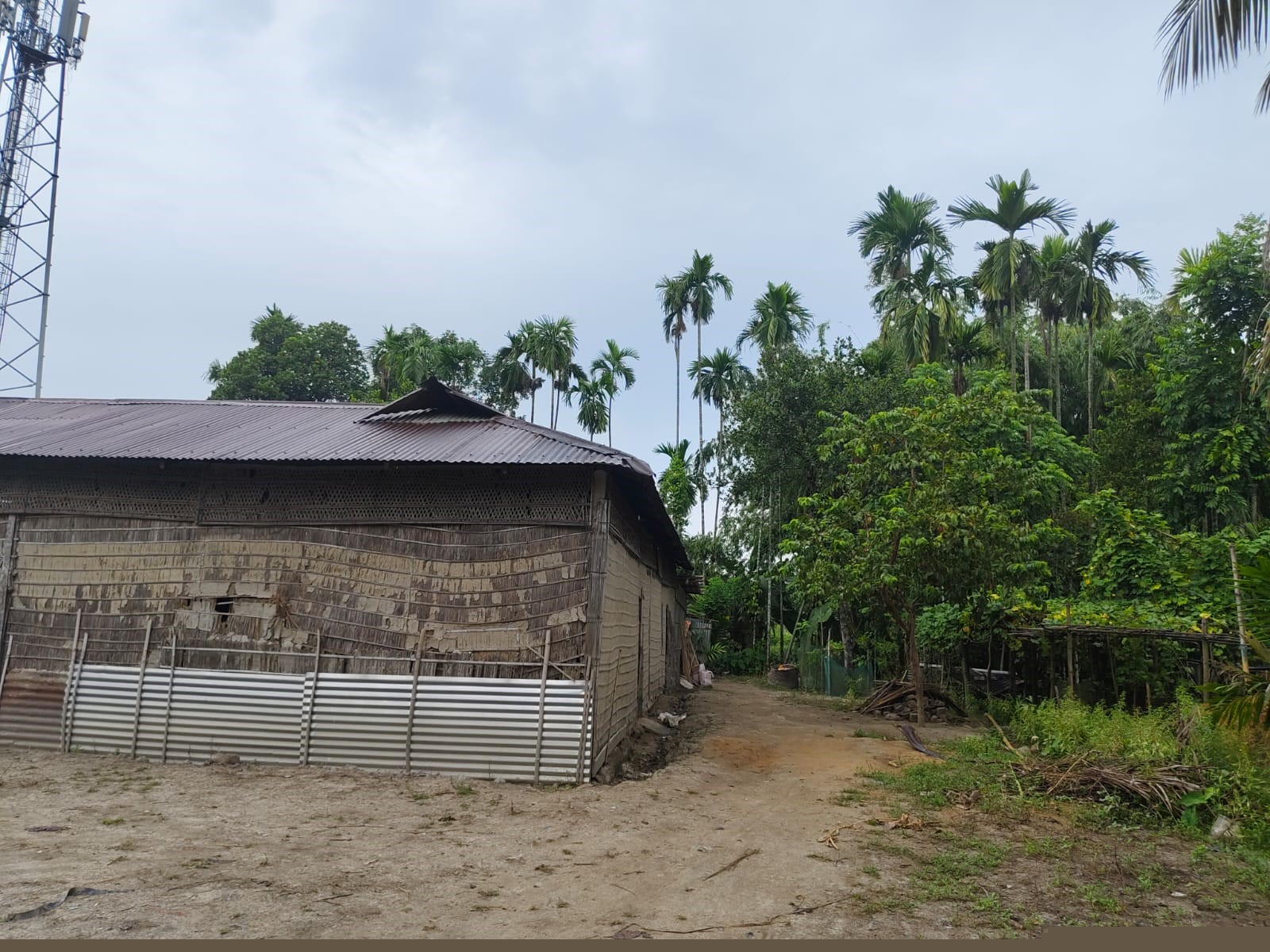 Punjab National Bank Auctions for Residential property in Nagaon, Assam