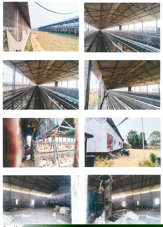 Union Bank of India Auctions for Residential property in Warangal, Telangana