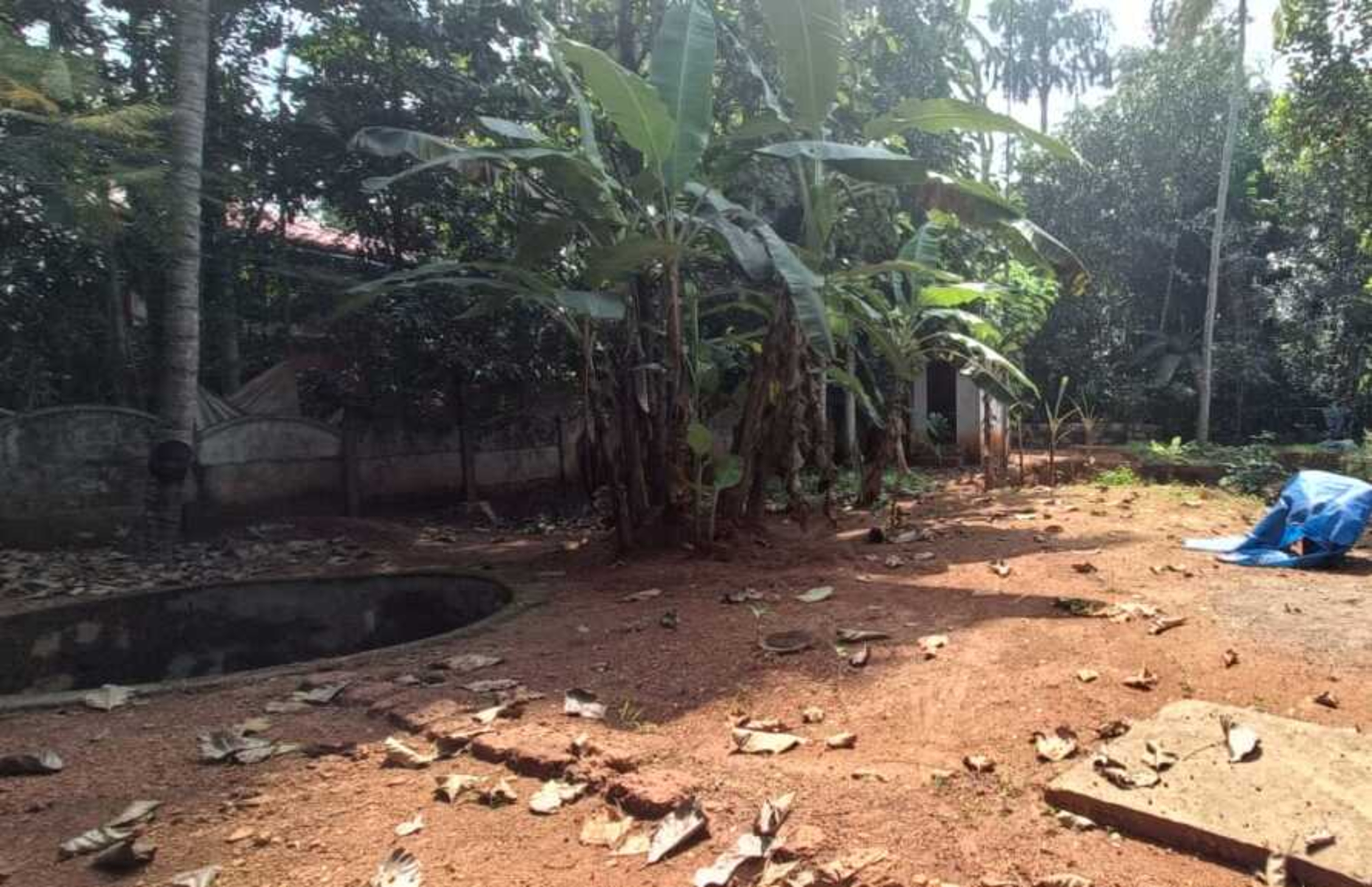 Punjab National Bank Auctions for Residential property in Malappuram, Kerala image 4 of 6 in Kalady Malappuram, Malappuram | Punjab National Bank auction property