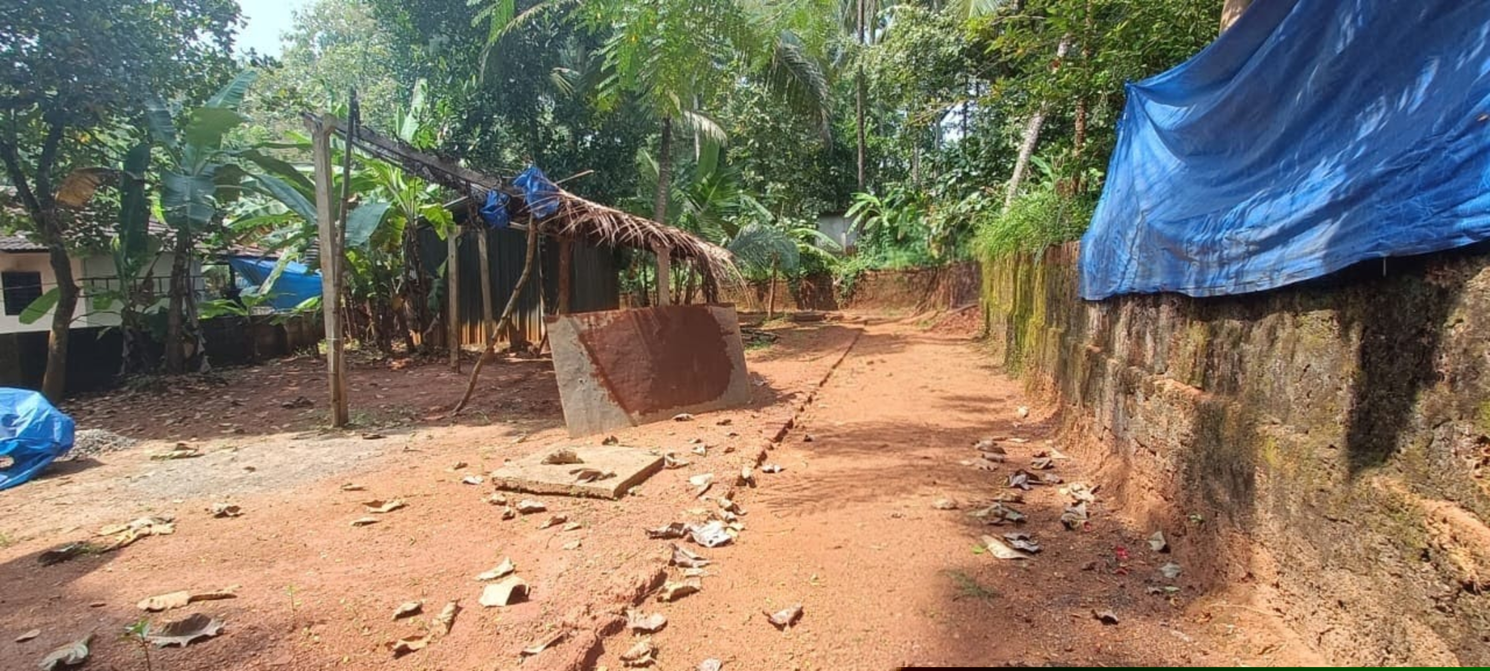 Punjab National Bank Auctions for Residential property in Malappuram, Kerala image 5 of 6 in Kalady Malappuram, Malappuram | Punjab National Bank auction property