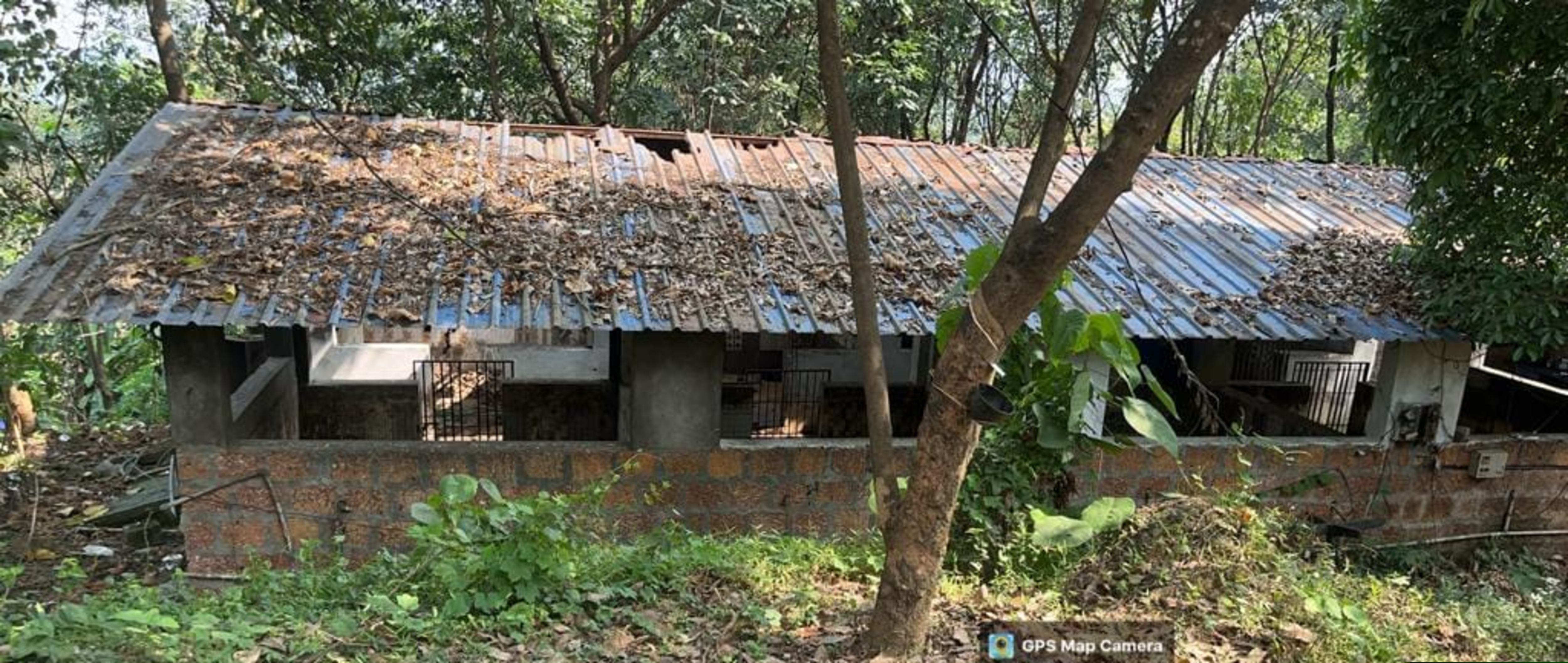 Punjab National Bank Auctions for Residential property in Thrissur, Kerala image 2 of 7 in Padiyur, Thrissur | Punjab National Bank auction property
