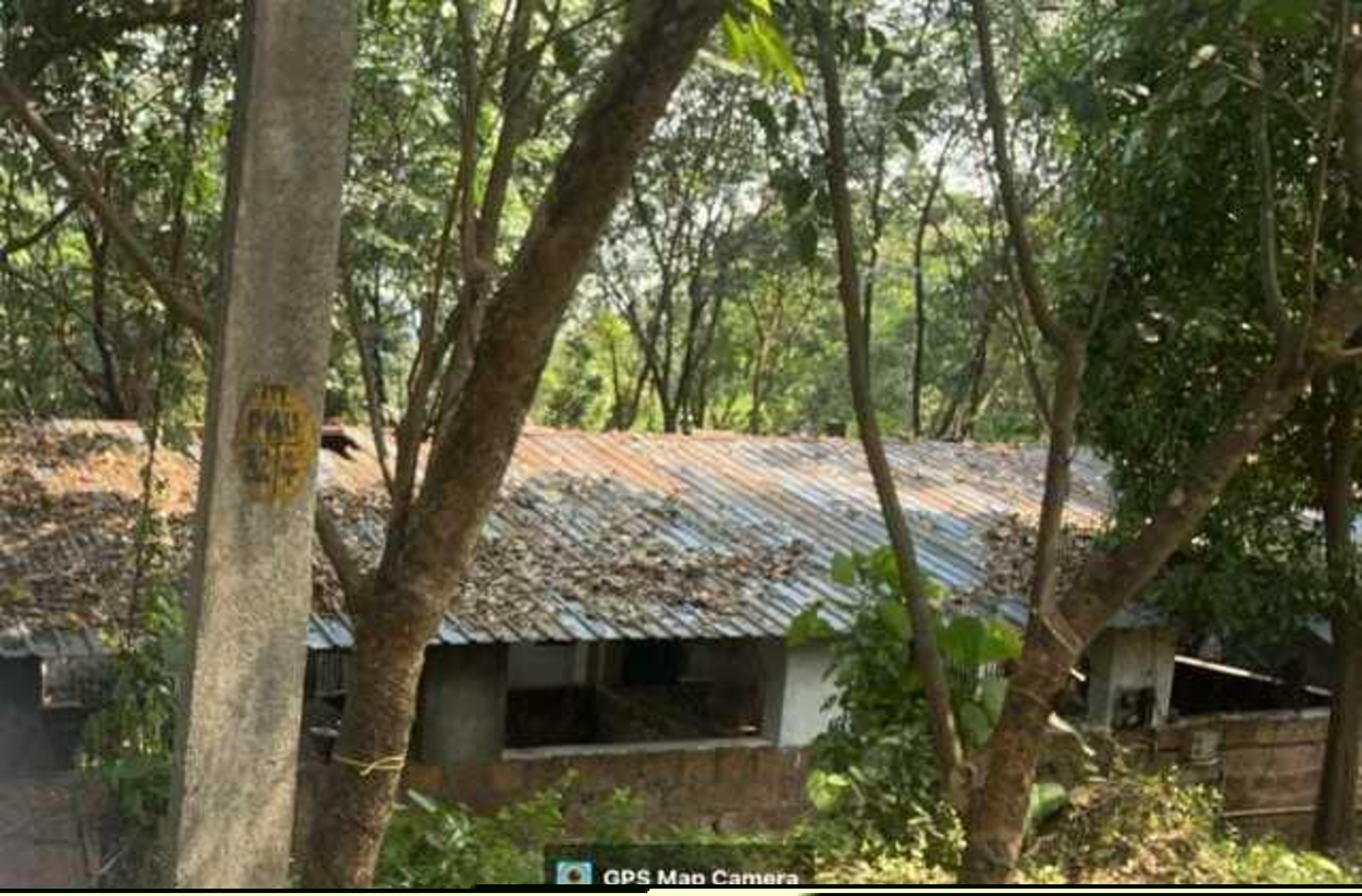 Punjab National Bank Auctions for Residential property in Thrissur, Kerala image 6 of 7 in Padiyur, Thrissur | Punjab National Bank auction property