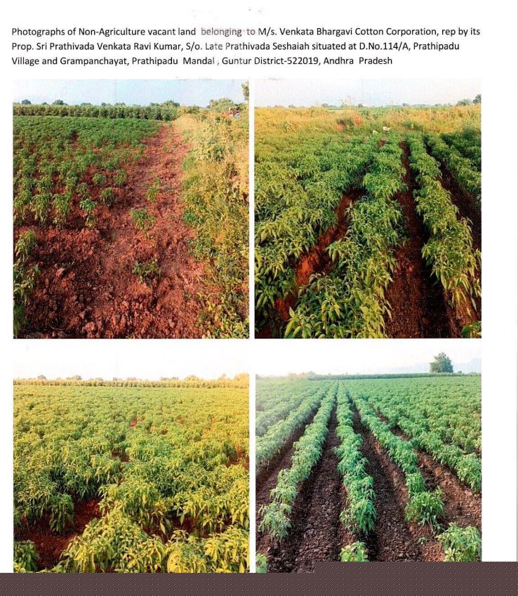 Punjab National Bank Auctions for Residential property in Guntur, Andhra Pradesh