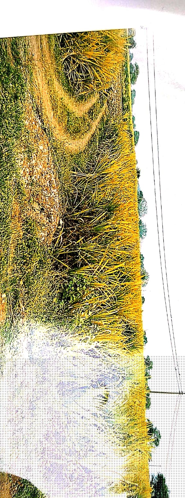 Punjab National Bank Auctions for Residential property in Kabirdham, Chhattisgarh