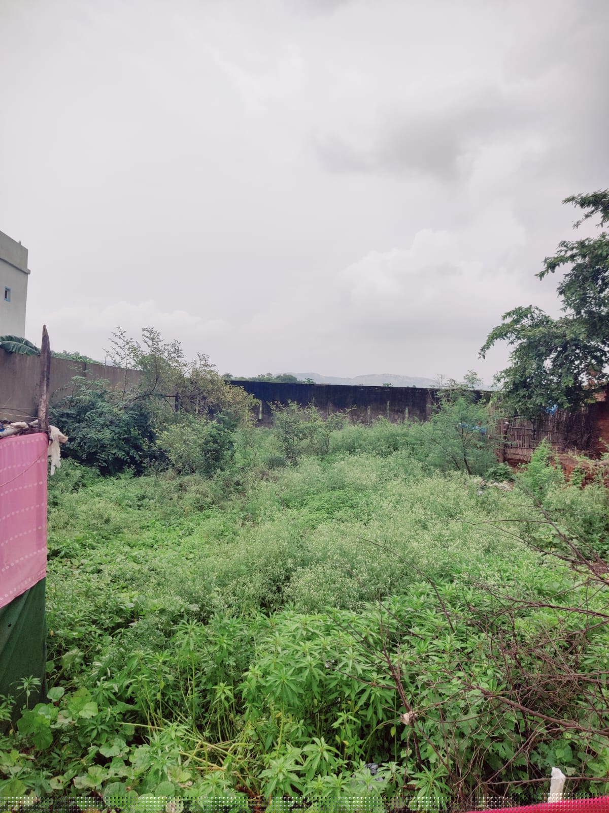 Punjab National Bank Auctions for Residential property in Raigarh, Chhattisgarh image 4 of 4 in Kharsia, Raigarh | Punjab National Bank auction property