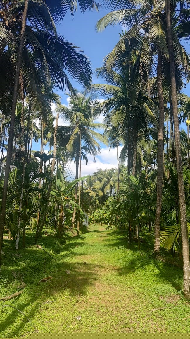 Union Bank of India Auctions for Residential property in Dakshina Kannada, Karnataka