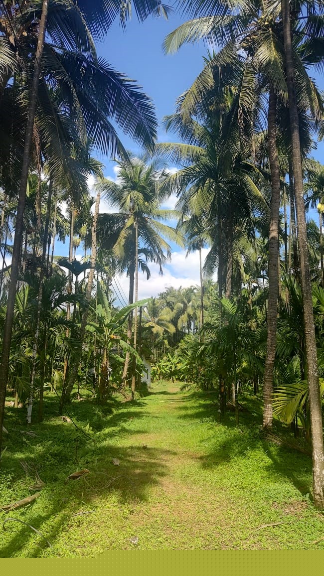 Union Bank of India Auctions for Residential property in Dakshina Kannada, Karnataka