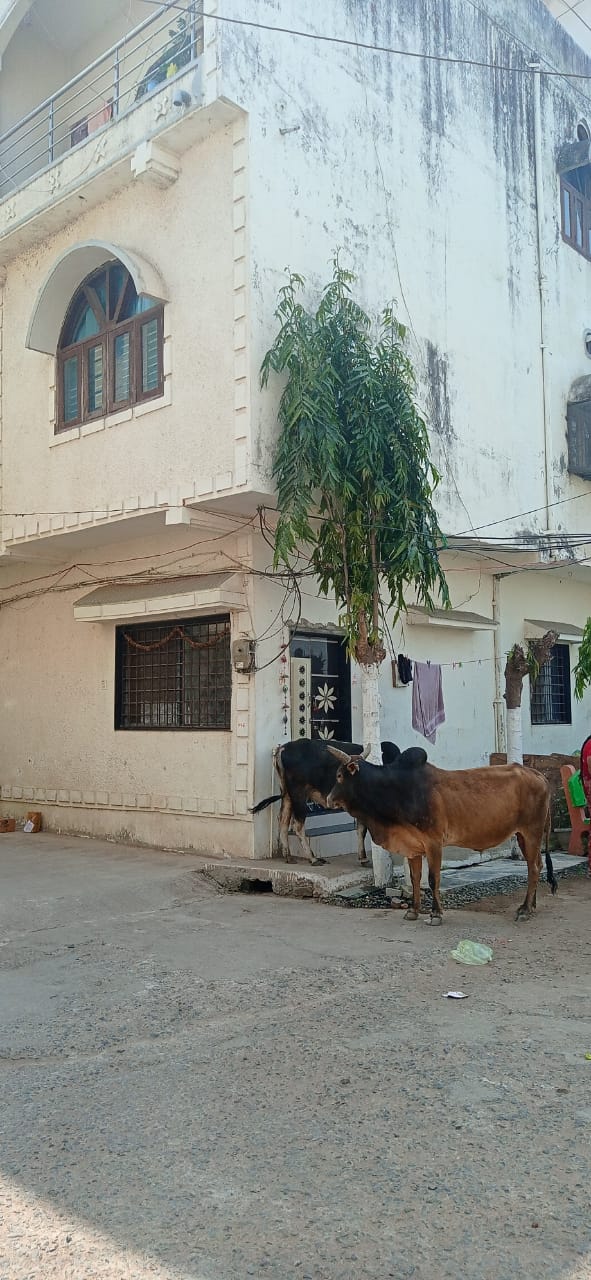 Punjab National Bank Auctions for Residential property in Narmadapuram, Madhya Pradesh