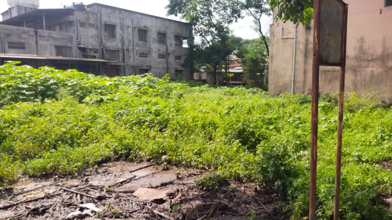 Bank of Maharashtra Auctions for Residential property in Kolhapur, Maharashtra image 2 of 3 in Kolhapur, Kolhapur | Bank of Maharashtra auction property