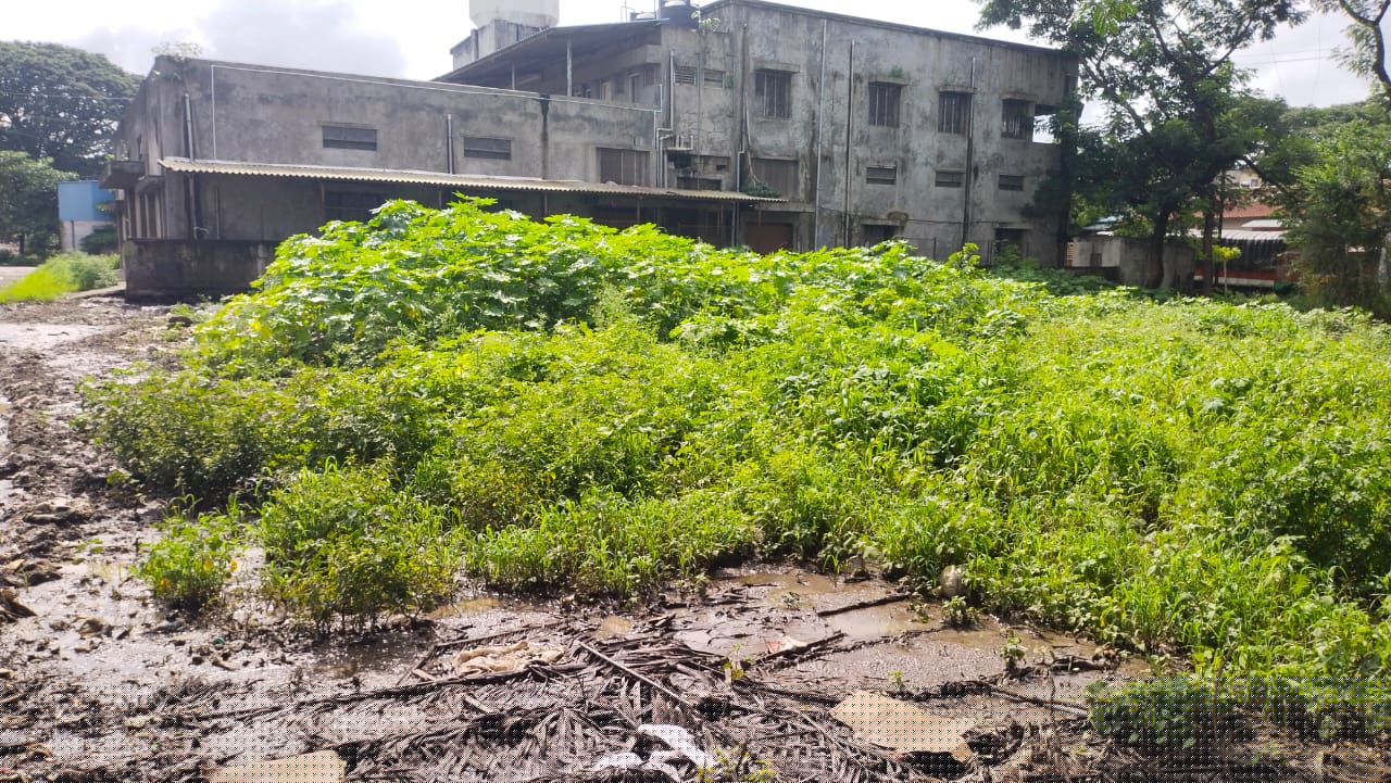 Bank of Maharashtra Auctions for Residential property in Kolhapur, Maharashtra image 2 of 3 in Kolhapur, Kolhapur | Bank of Maharashtra auction property