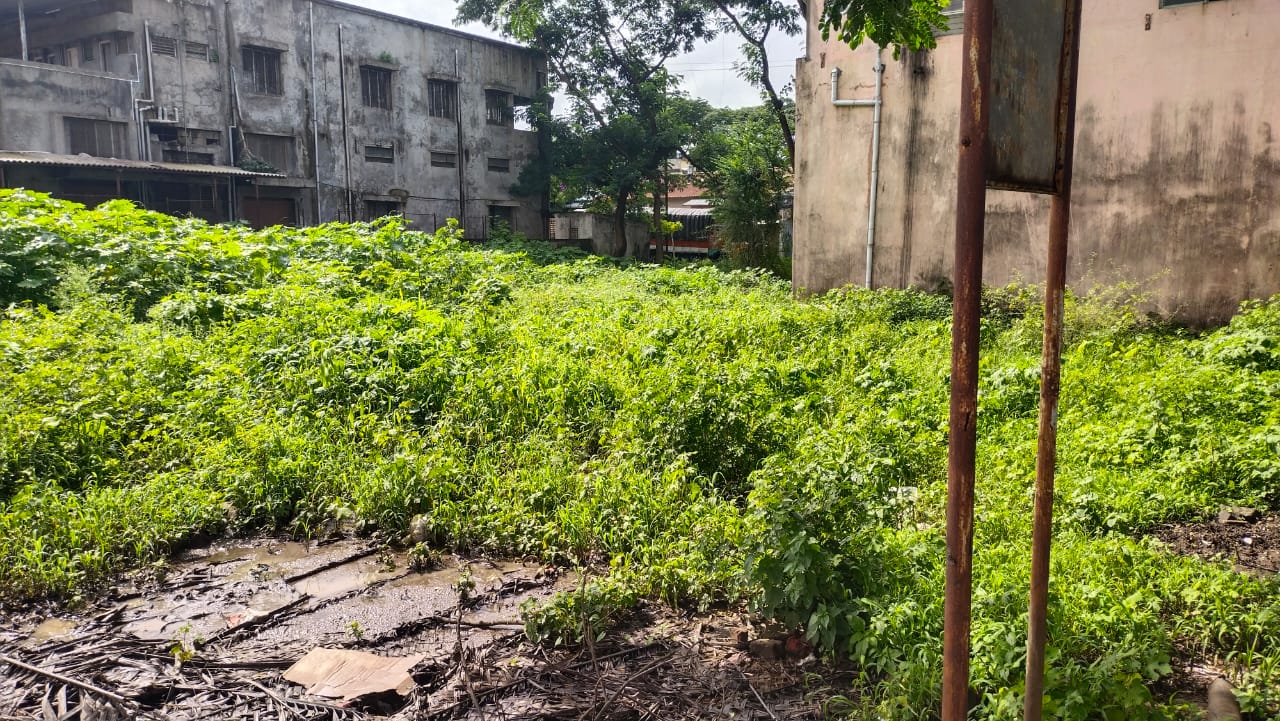 Bank of Maharashtra Auctions for Residential property in Kolhapur, Maharashtra image 3 of 3 in Kolhapur, Kolhapur | Bank of Maharashtra auction property